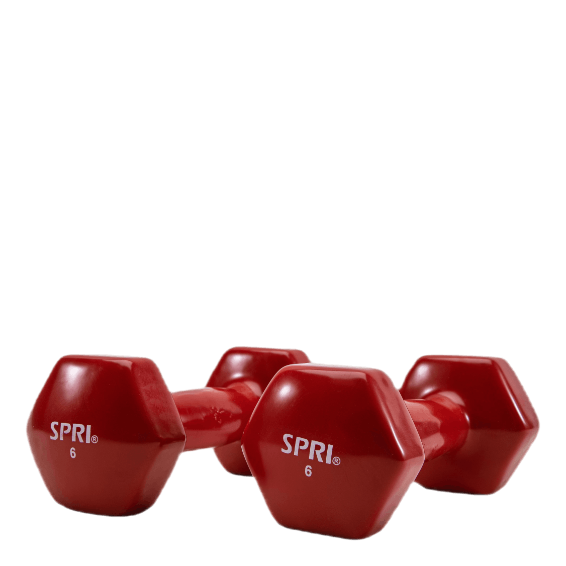 Dumbbell Vinyl 2,7KG/6LBS