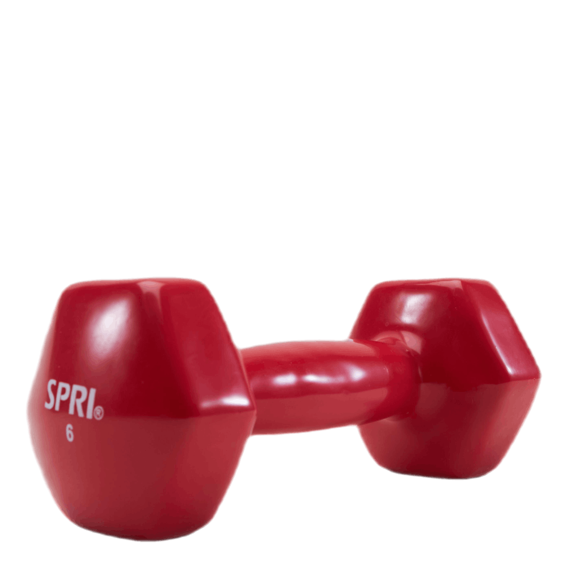 Dumbbell Vinyl 2,7KG/6LBS