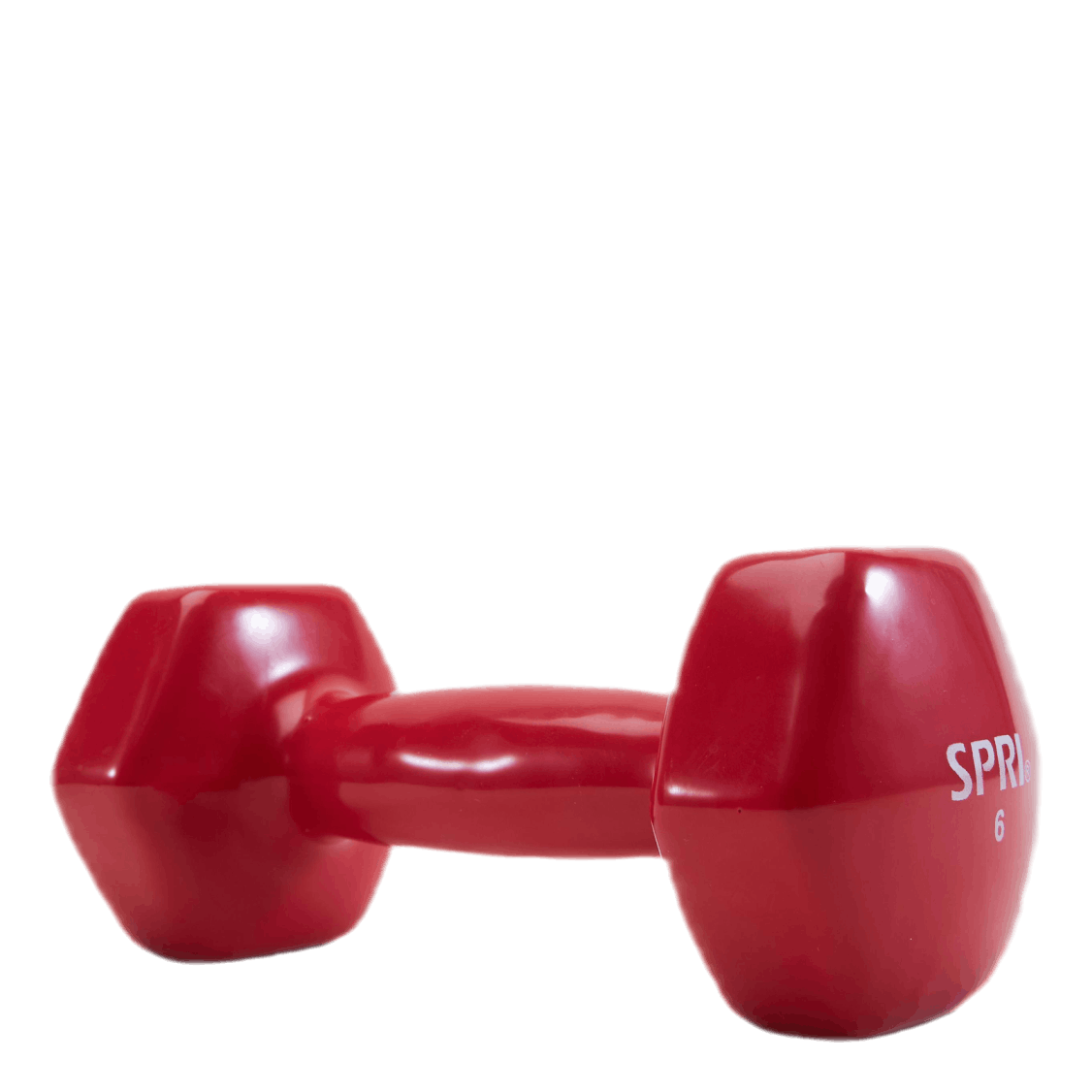 Dumbbell Vinyl 2,7KG/6LBS