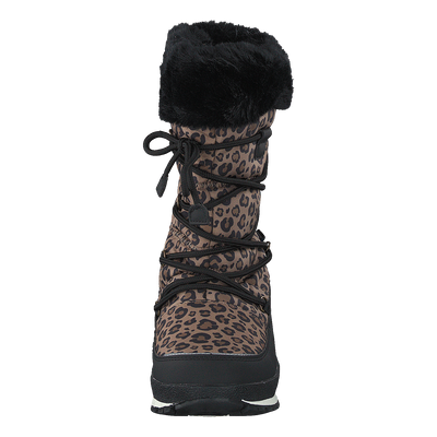 Ysby Leopard