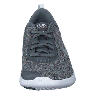 Wmns Flex Experience Cool Grey/reflect Silver