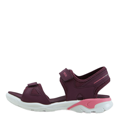 Ecco Biom Raft Aubergine