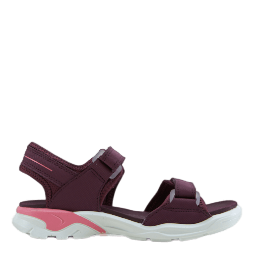 Ecco offroad sale aubergine