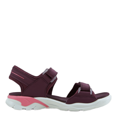 Ecco Biom Raft Aubergine