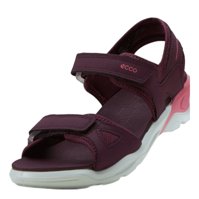 Ecco Biom Raft Aubergine