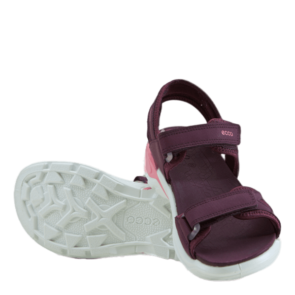 Ecco Biom Raft Aubergine