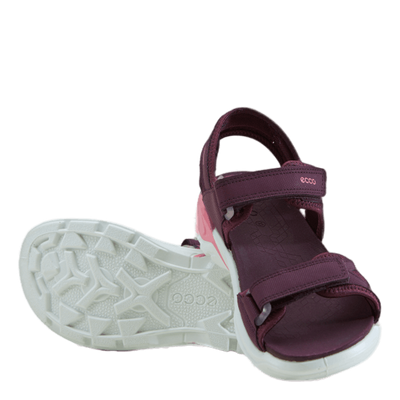 Ecco Biom Raft Aubergine