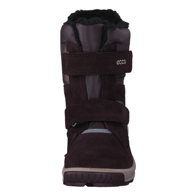 Ecco Biom Hike Infant Fig/shale