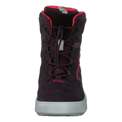 Ecco Urban Snowboarder Fig/teaberry