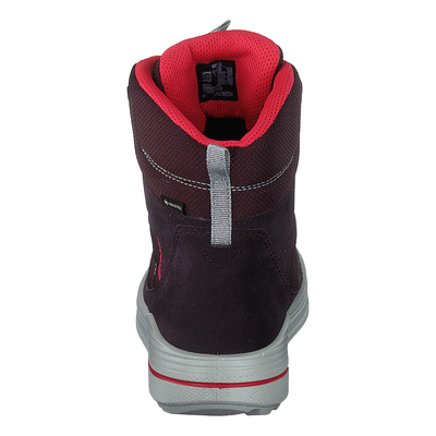 Ecco Urban Snowboarder Fig/teaberry