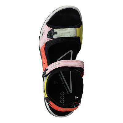 Ecco Offroad Multicolor Calendula