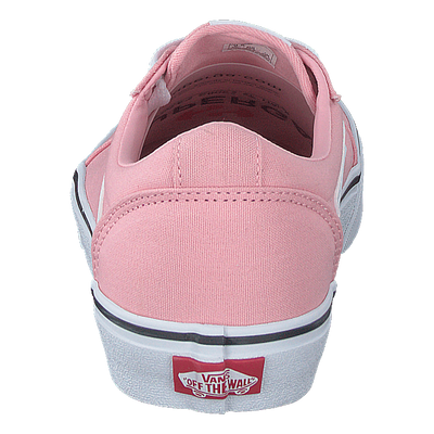 Wm Ward (canvas) Powder Pink/white