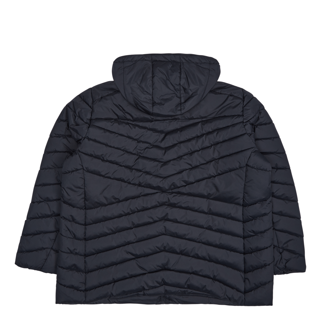 Ally Jacket Black