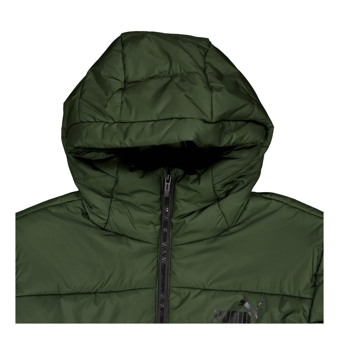 Ess Hooded Padded Jacket Myrtle