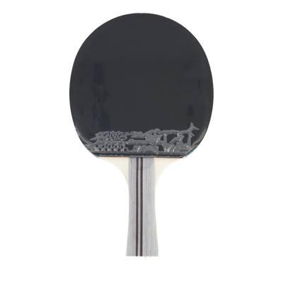 Df-01 Table Tennis Racket