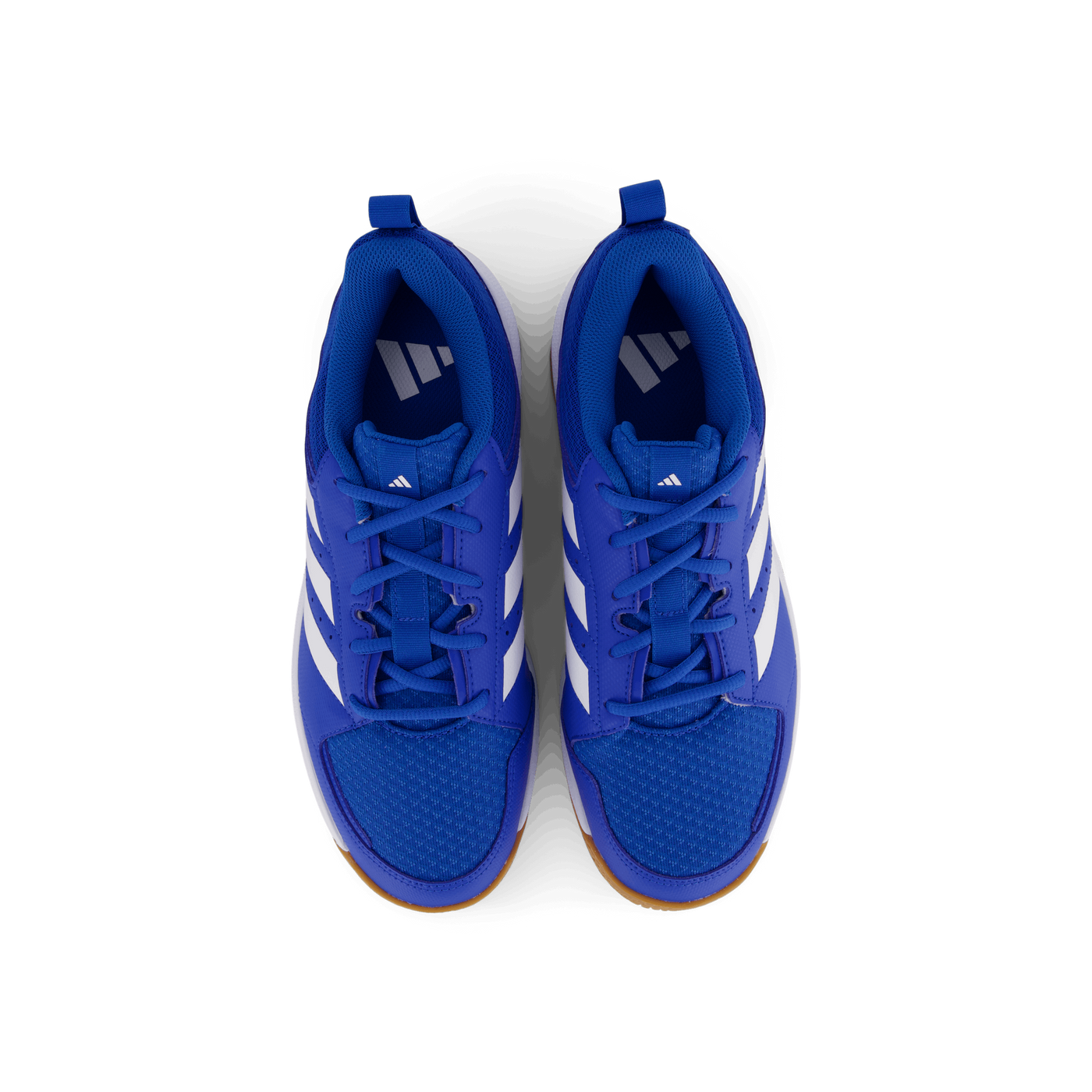 Ligra 7 Indoor Shoes Bright Royal