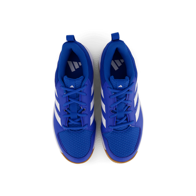 Ligra 7 Indoor Shoes Bright Royal