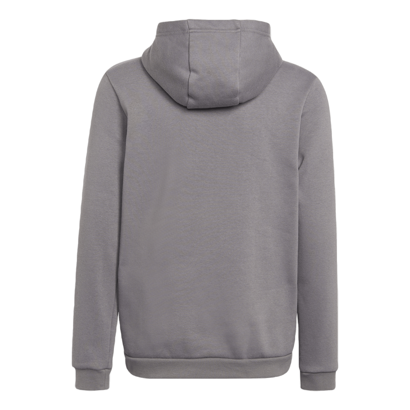 Entrada 22 Sweat Hoodie Tegrfo