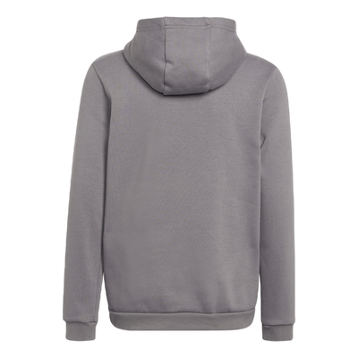 Entrada 22 Sweat Hoodie Tegrfo