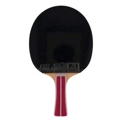 2a+ Table Tennis Racket