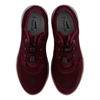 Credo Toronto Gtx Bordo