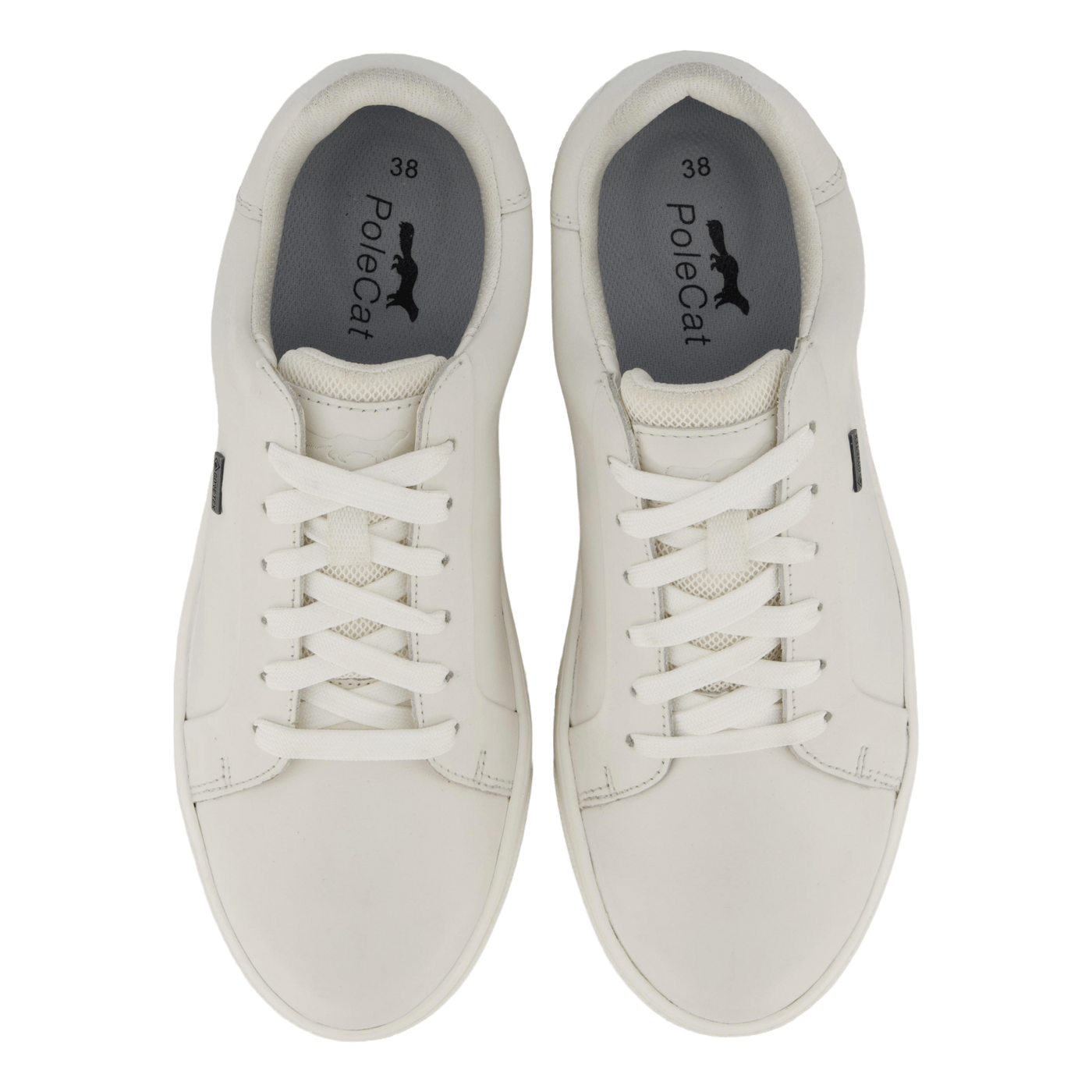 Rex Turin Gtx White