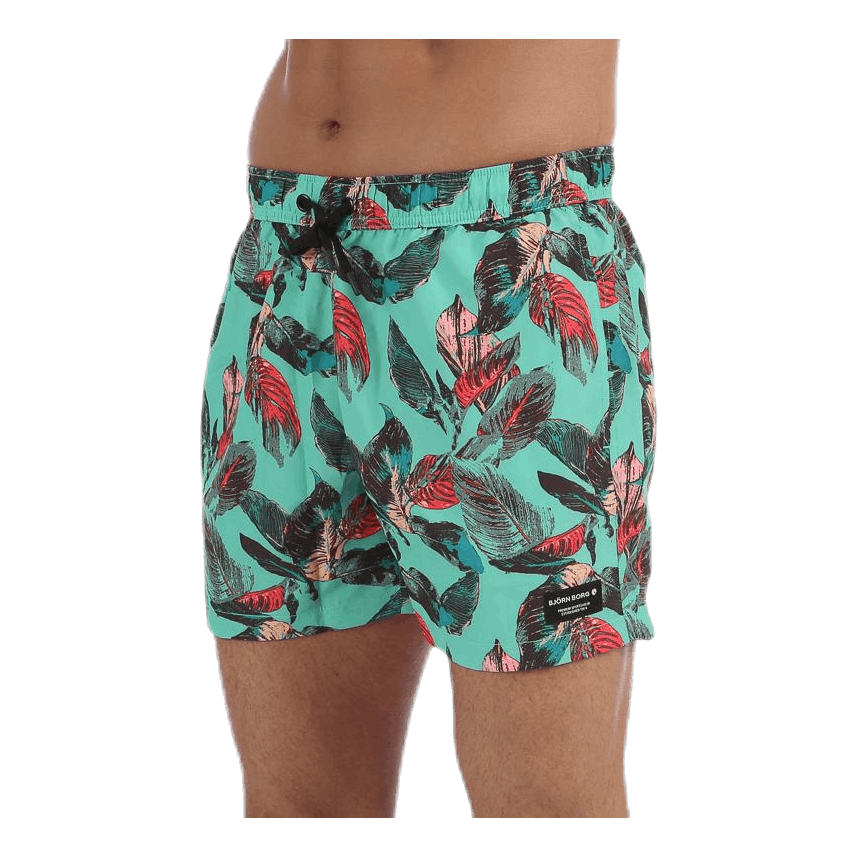 Sylvester Swimshorts Blue/Pink/Green