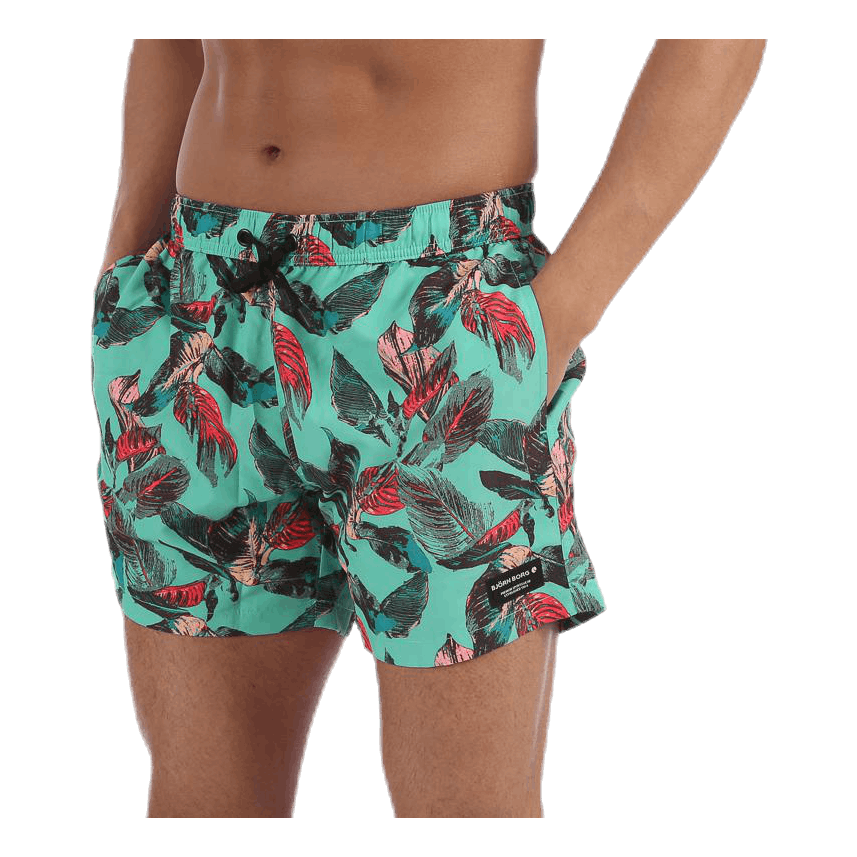 Sylvester Swimshorts Blue/Pink/Green