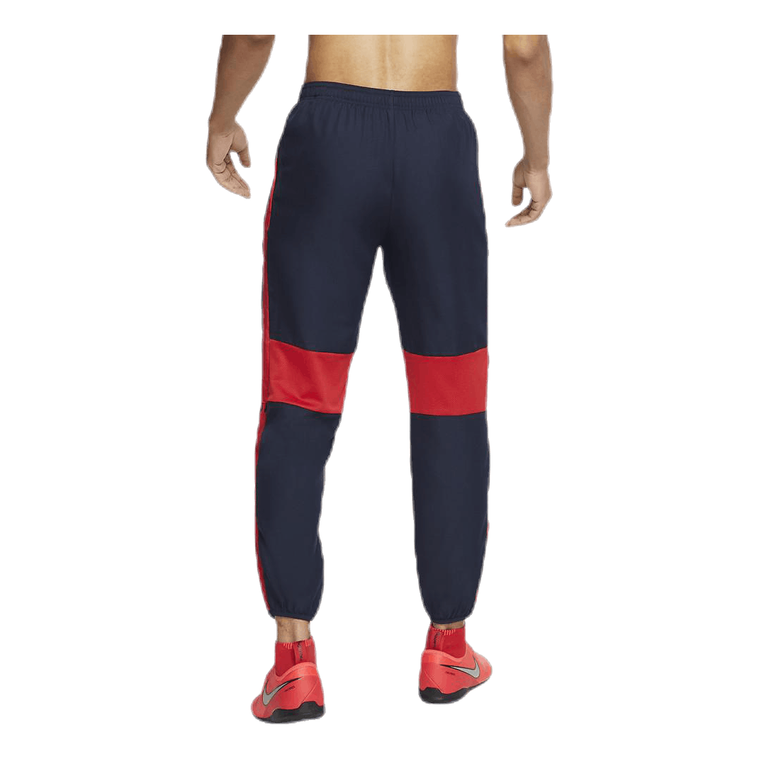 Dri-FIT Academy Blue/Red