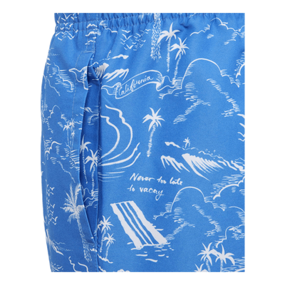 Pattern Boardshorts Youth Blue