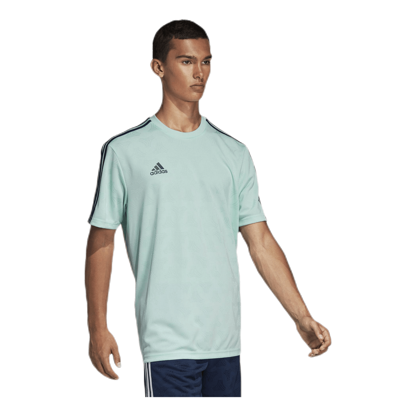 Tango Jaquard Jersey Blue/Green