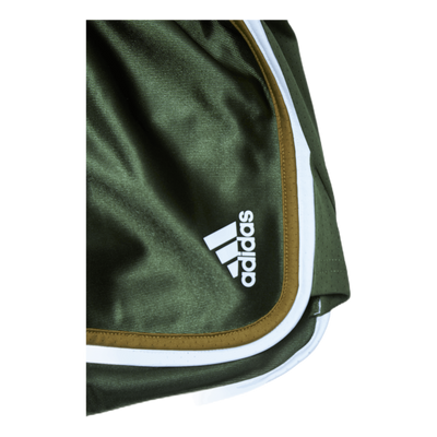 Club Shorts Green