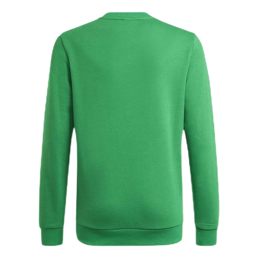 Adidas Boys Essentials Big Logo Sweatshirt Green / White