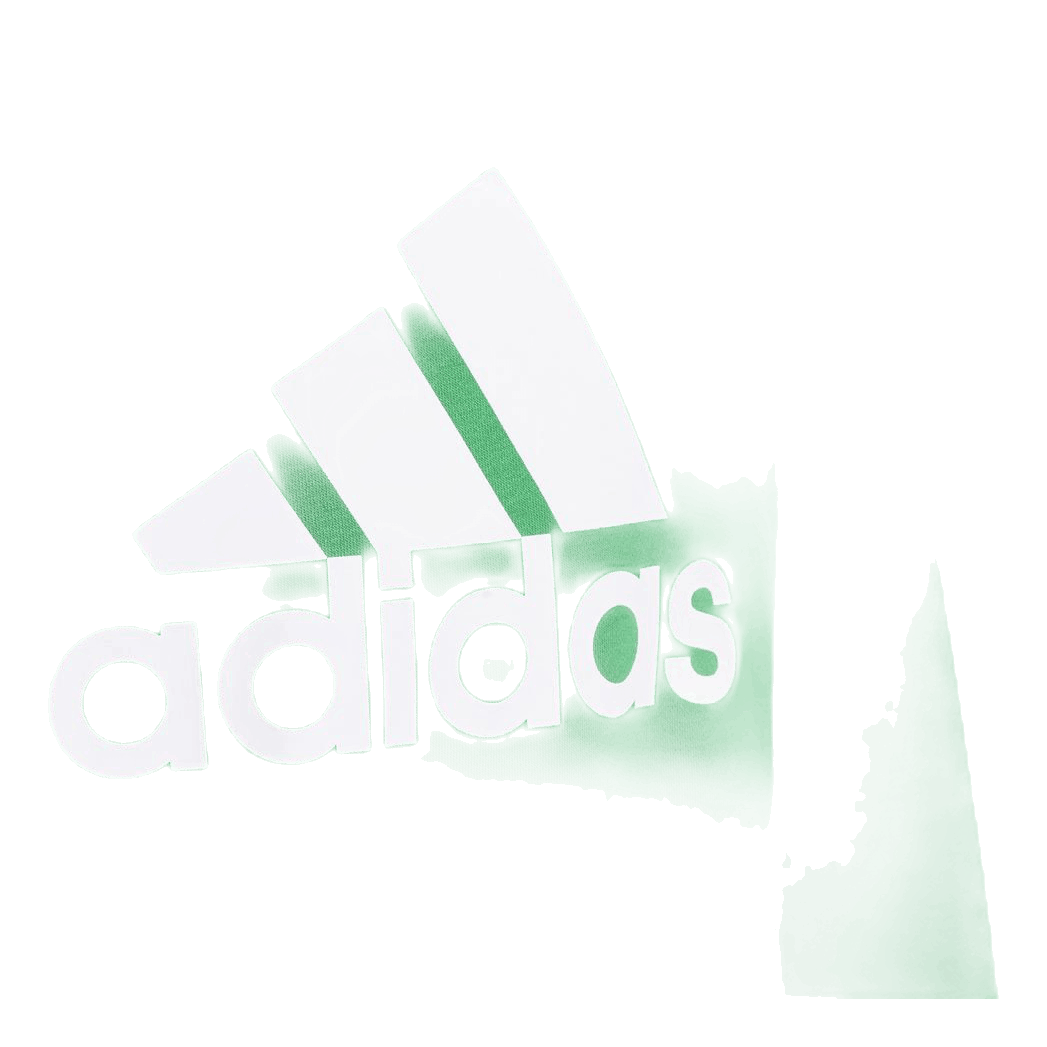 Adidas Boys Essentials Big Logo Sweatshirt Green / White