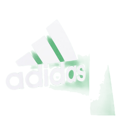 Adidas Boys Essentials Big Logo Sweatshirt Green / White