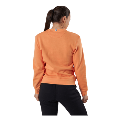 Maria Crew Orange