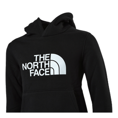 TNF Drew Peak Hoody Jr Black