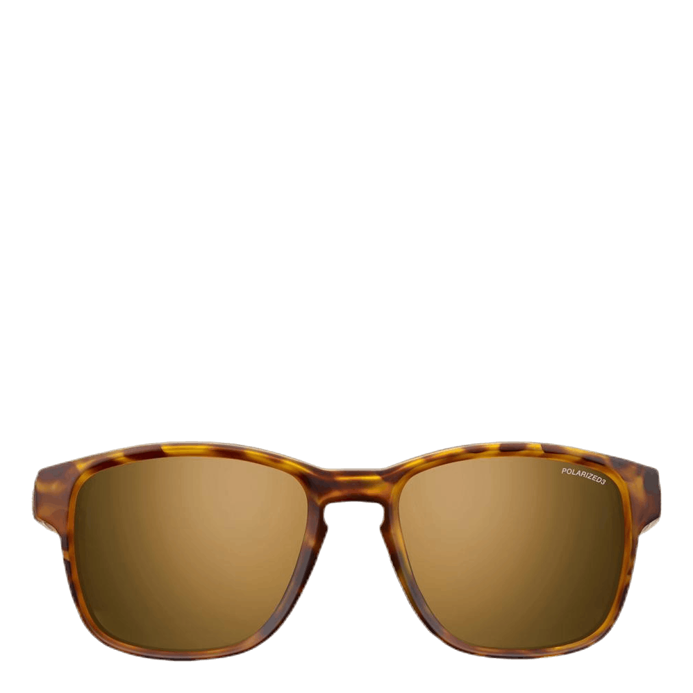 Paddle Polarized 3 Brown/Black