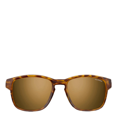 Paddle Polarized 3 Brown/Black