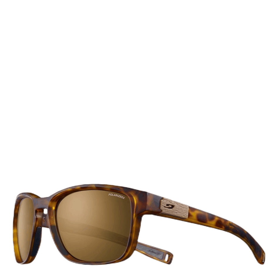 Paddle Polarized 3 Brown/Black