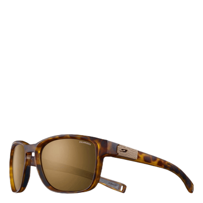 Paddle Polarized 3 Brown/Black