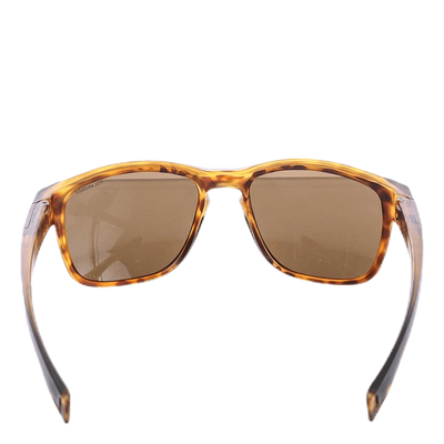 Paddle Polarized 3 Brown/Black