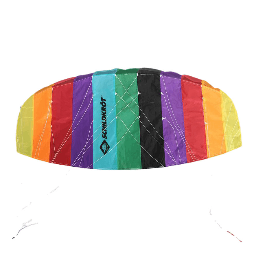 Dual Line Sport Kite 1.3 Patterned