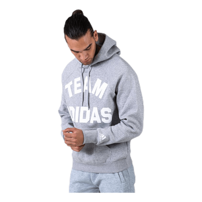 VRCT Hoodie Grey