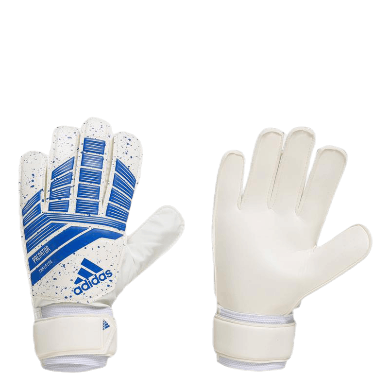 Predator Training Blue/White