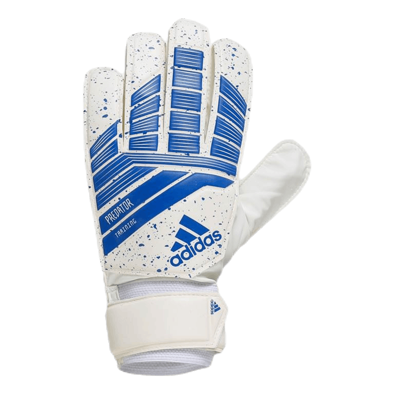 Predator Training Blue/White