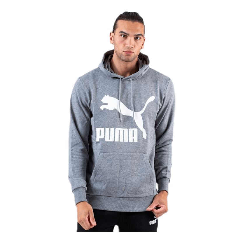 Classics Logo Hoody TR Grey