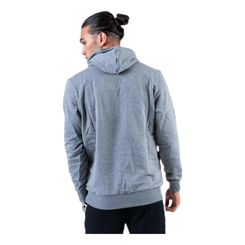 Classics Logo Hoody TR Grey