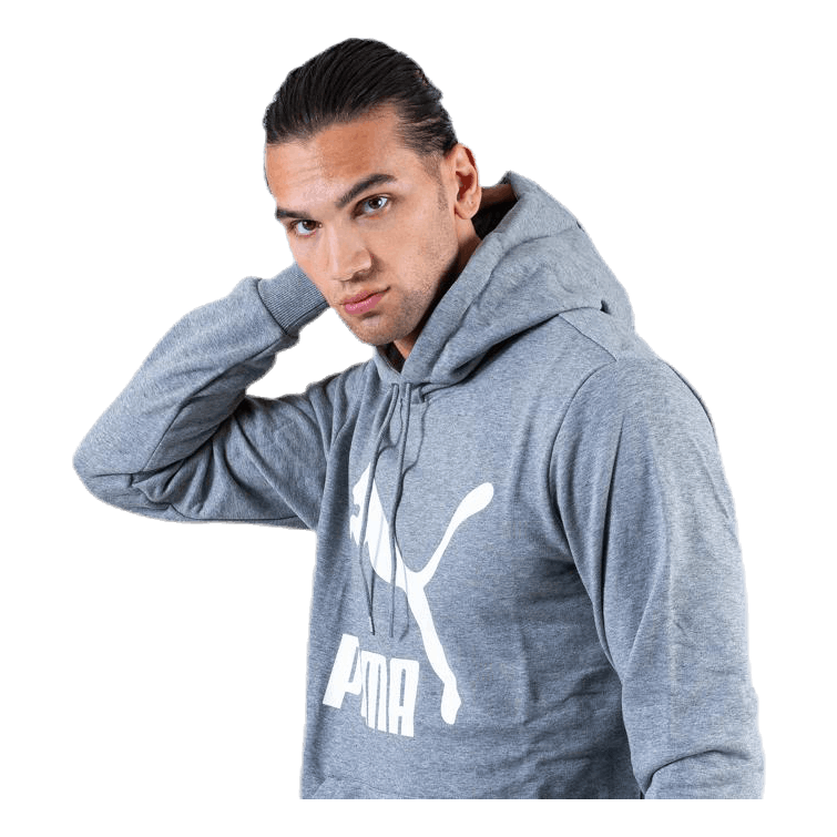 Classics Logo Hoody TR Grey