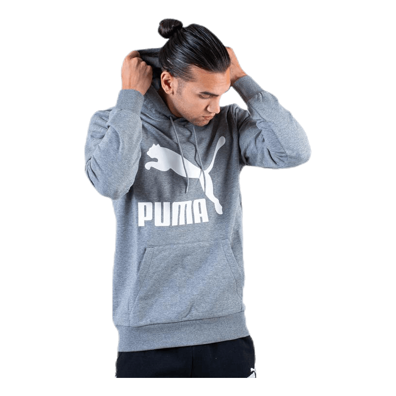 Classics Logo Hoody TR Grey